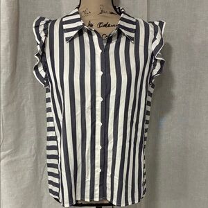 BB Dakota Navy and White Striped Button Down Shirt